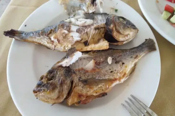 Balıq yedikdən sonra çay içməyin  – Dietoloqlar səbəbini   izah edir