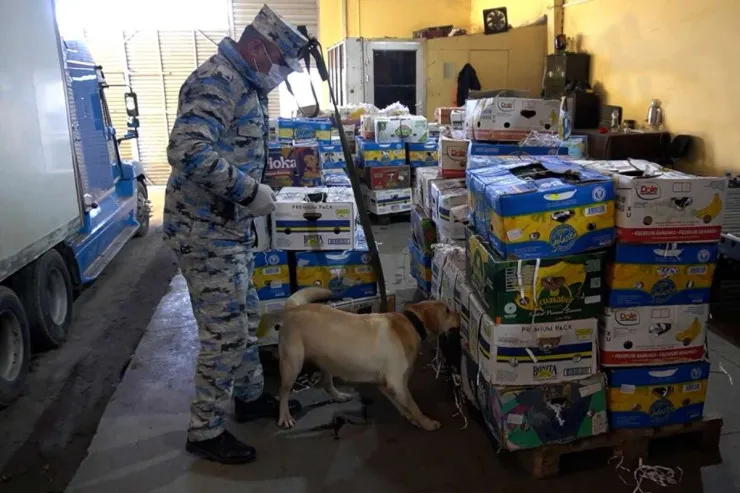 İrandan Rusiyaya aparılan qarpızın içindən narkotik çıxdı - VİDEO 