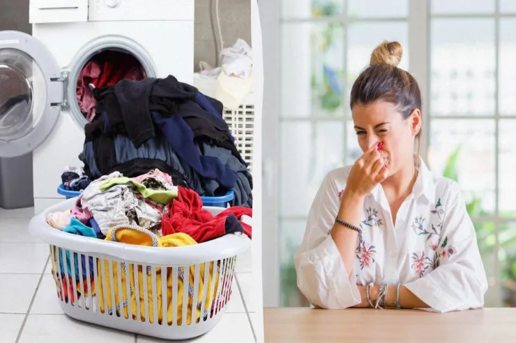 Gecə maşında qalan paltarı yenidən yumaq  lazımdırmı?