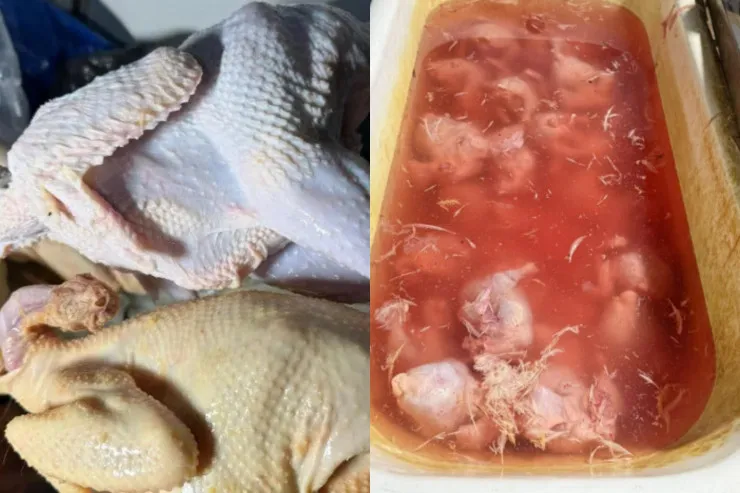 "Kənd toyuğu" adı ilə insanları öldürürlər - Bazarda təhlükəli fırıldaq 