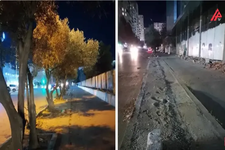 Xırdalanda sağlam ağacları kəsib, yerini sürətlə betonladılar -VİDEO 