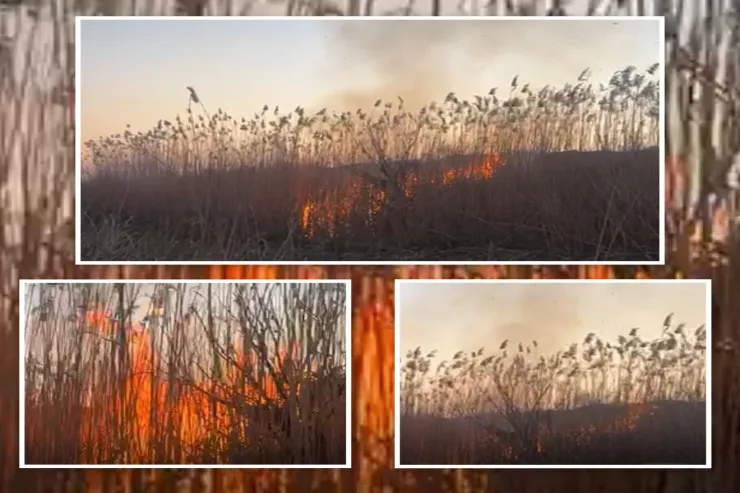 Cocuq Mərcanlıda yanğın törədən  saxlanıldı
