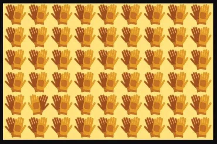 Sınaq TESTİ:  20 saniyəyə xüsusi bir cüt əlcək  tapın