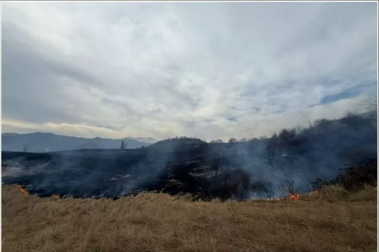Xocalıda bir siqaretlə 5 hektar yeri yandıran  saxlanıldı