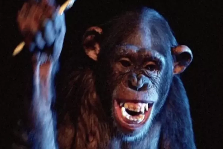 Meymunlarla bağlı ən yaxşı 5 qorxu filmi 