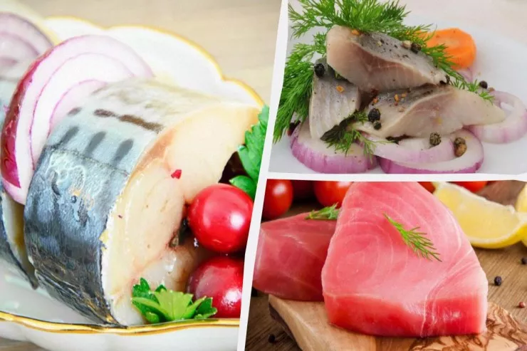 Vitamin D ən çox hansı balıqda olur: 6 ən faydalı növ 