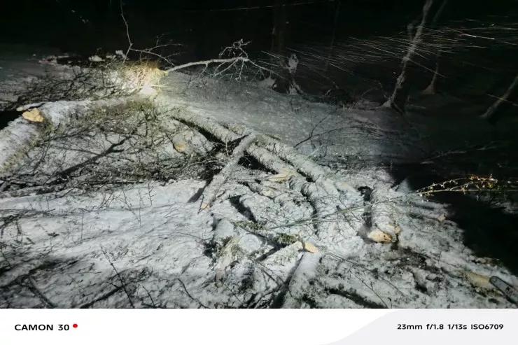 Ağaclar aşıb Lənkəran-Lerik yolunu bağladı - VİDEO 