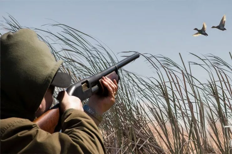 Bakıda çöl quşları ovlayanlar   TUTULDU