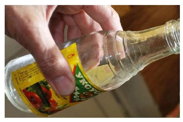 Naxçıvanda kişi sirkə turşusundan  zəhərlənib öldü - Keçmiş arvadının  evində