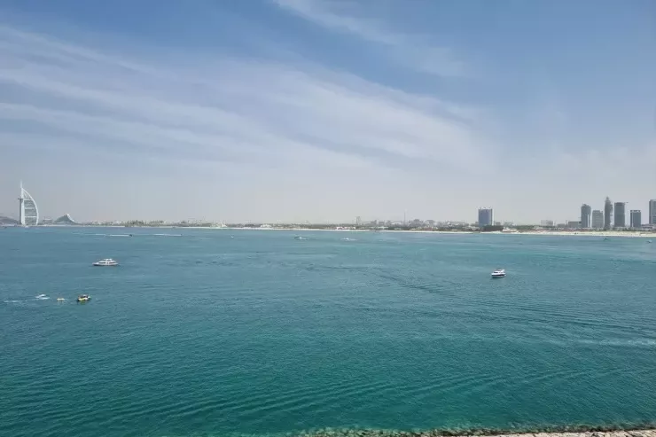 Dünyanın ən sürətli balığı   - saatda 110 km sürət  