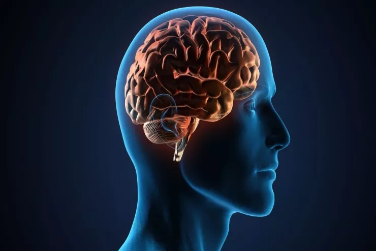 Alimlərdən Alzheimer xəstəliyi ilə bağlı mühüm kəşf 