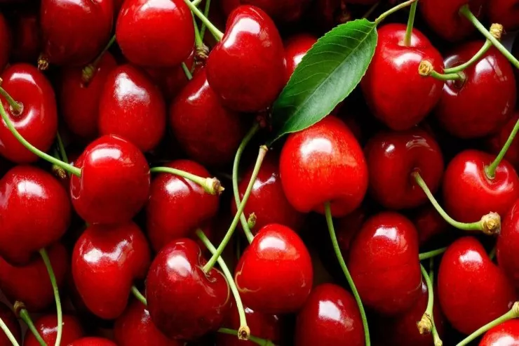 Albalının çəyirdəyini  saniyələr içində çıxarmaq üçün ən sadə üsullar 