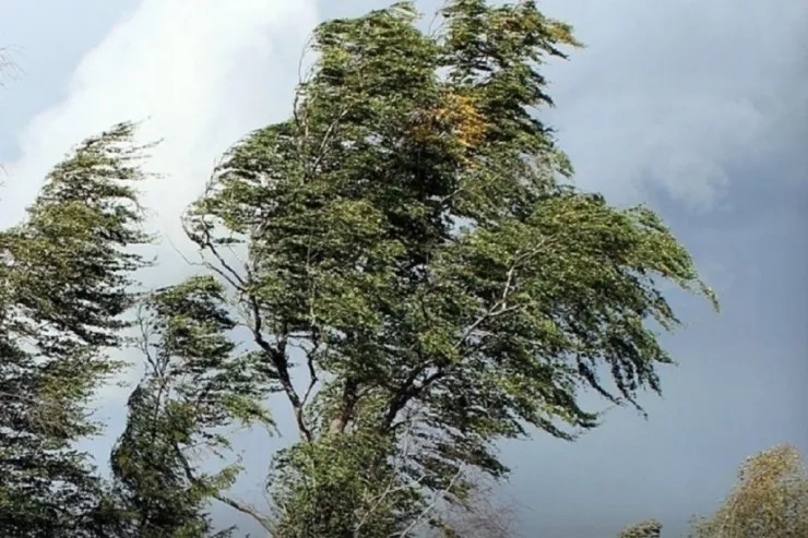 Bakıda sabah,  bu rayonlarda 3 gün külək əsəcək  