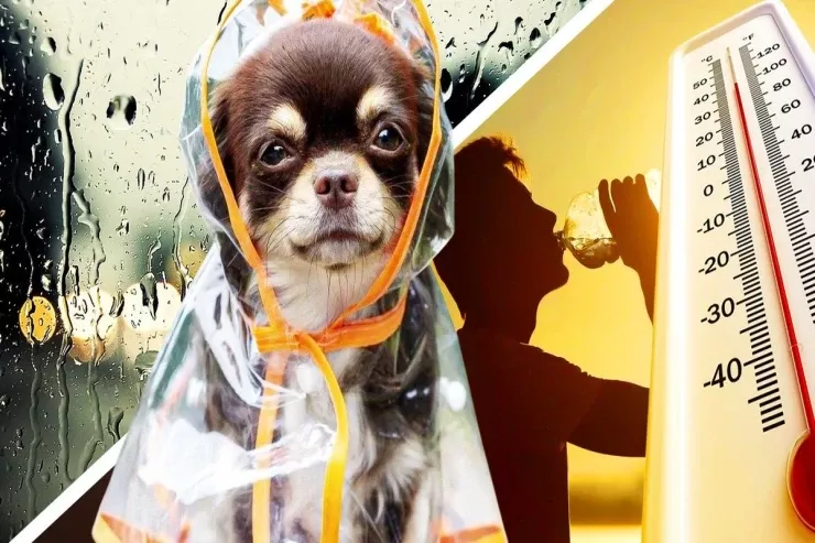 Yayın ən isti vaxtı  yaxınlaşır: Temperatur 50 dərəcəyə  çata bilər 