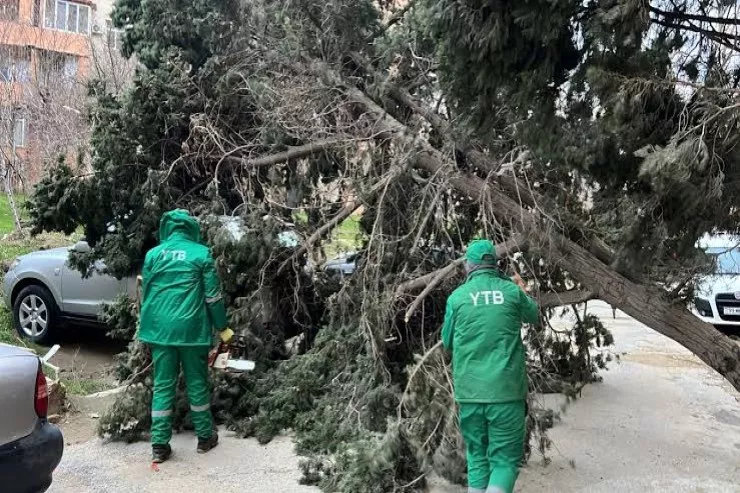 Güclü külək daha 2 nəfəri xəstəxanalıq  etdi
