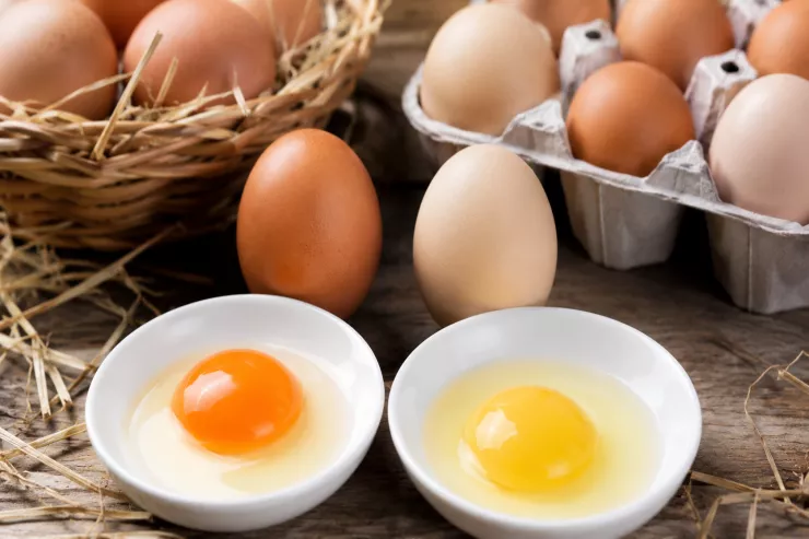 Kənd yumurtasını  mağaza yumurtasından ayırmağın yolları 