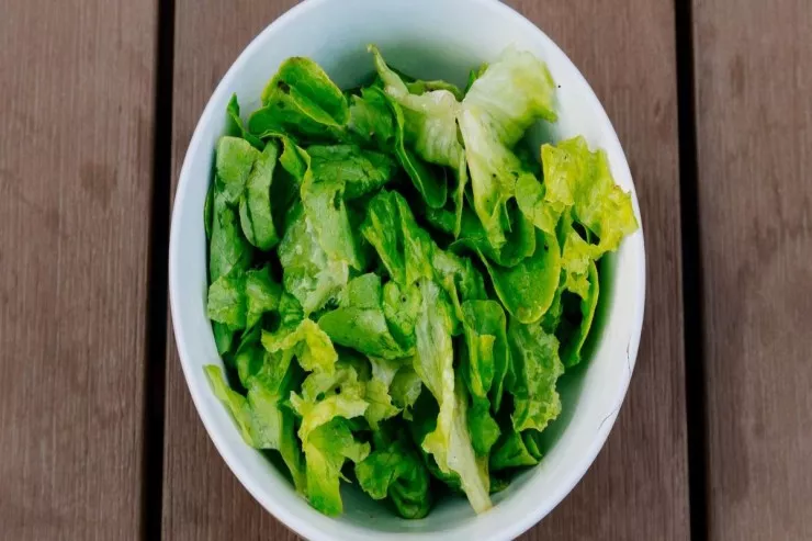 Salatı 14 günə qədər  təzə saxlamağın sadə üsulu 
