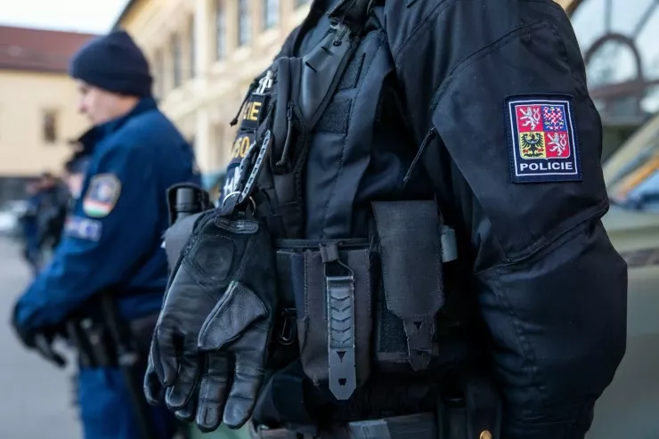 Çexiyada ana yenidoğulmuş körpəsini  itlərə yedirdi
