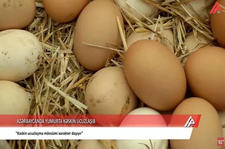 "Bir qəpiyə yumurta sabah olacaq" - APA TV ucuzlaşmanın səbəblərini  ARAŞDIRDI