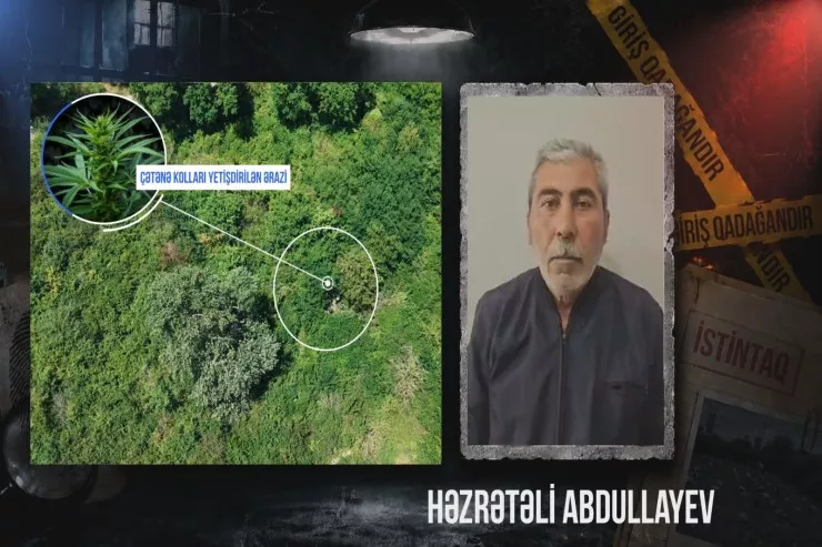 Qaxda narkotik plantasiyası AŞKARLANDI 