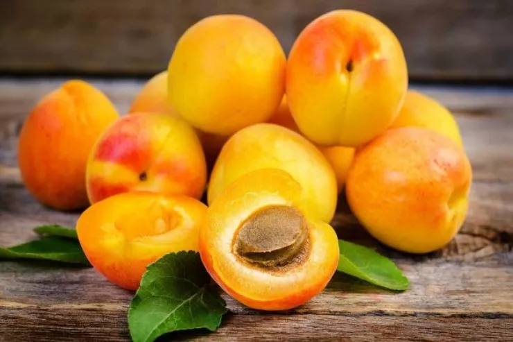 Yuxuda ərik  görmək nə deməkdir?