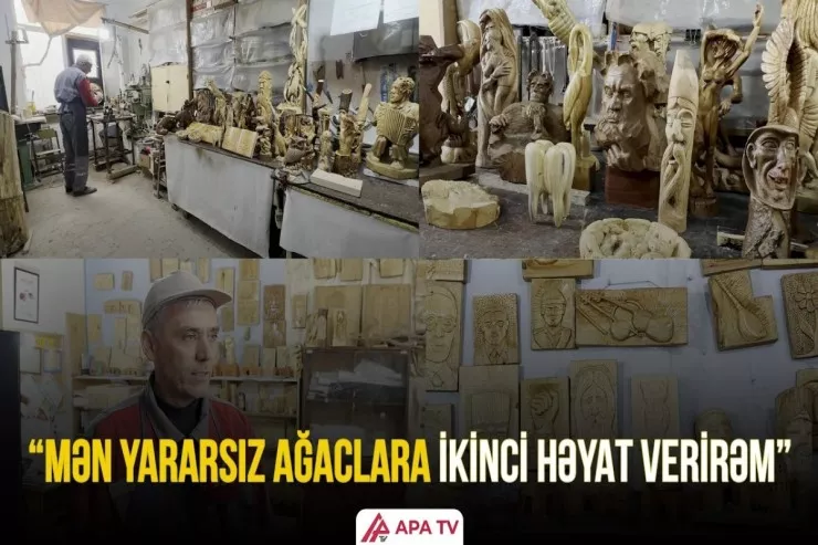 Yararsız ağaclara ikinci həyat verən usta -VİDEO 