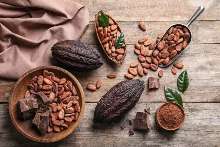 Kakaonun beynin fəaliyyətinə təsir edən  gözlənilməz effekti aşkarlandı