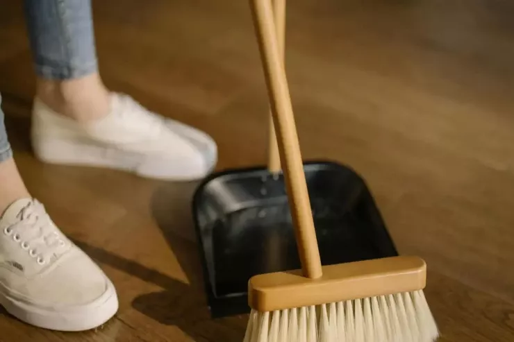 İsveç təmizləmə metodunun sirləri 