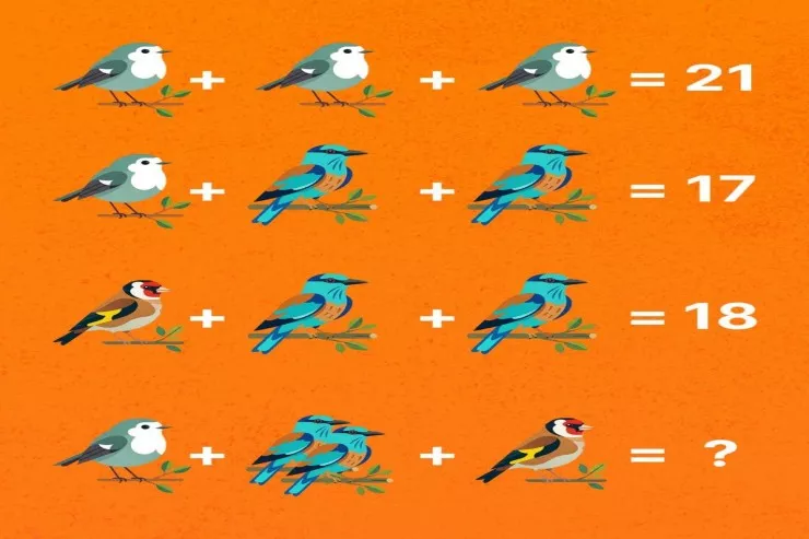 Yalnız dahilər  bütün quşları   saya bilər: çox çətin TAPMACA 