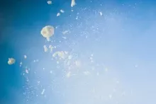 Dünyanın ən bahalı  obyekti: 1 trilyon  dollar dəyərində