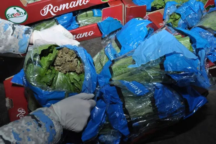 "Gül kələmi"  daşıyan maşından 56 kilo narkotik çıxdı - VİDEO 