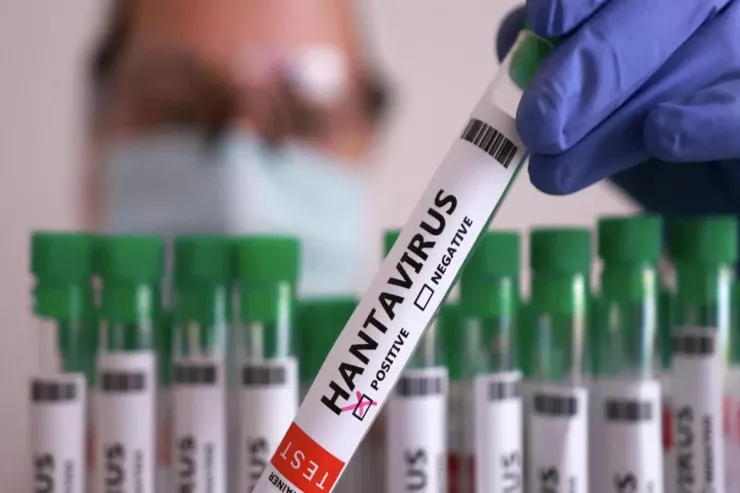 Dünyanı təşvişə salan  Hantavirus nədir? -  ƏLAMƏTLƏRİ 