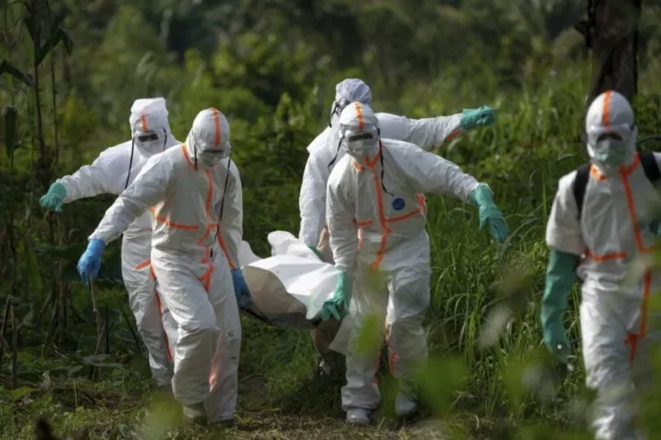 Ebola   epidemiyası yayıldı - 65 nəfər öldü  