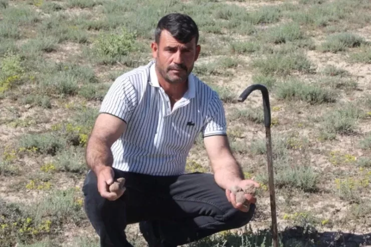 Gpbələk yığaraq özünə avtomobil, ev və torpaq sahəsi   aldı
