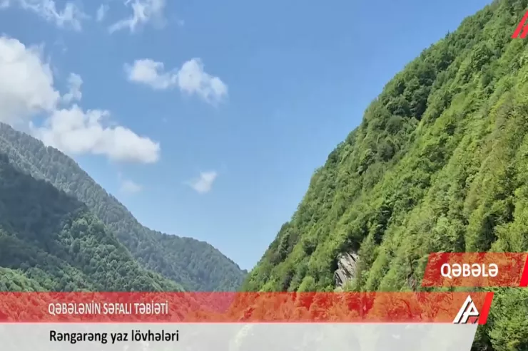Qəbələni heç belə görməmisiniz -VİDEO 