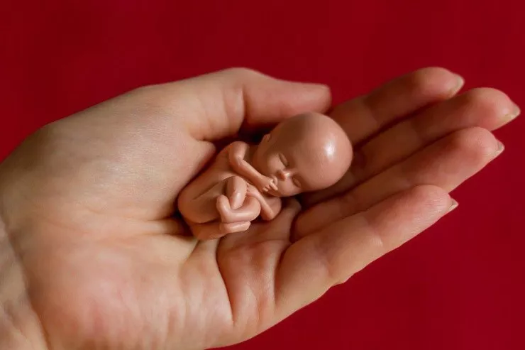 Keçən il ölkədə 95 min 117 abort  qeydə alınıb 