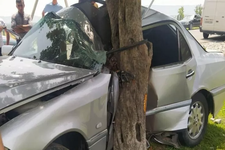Oğuzda "Mercedes" ağaca çırpıldı, yaralılar var 