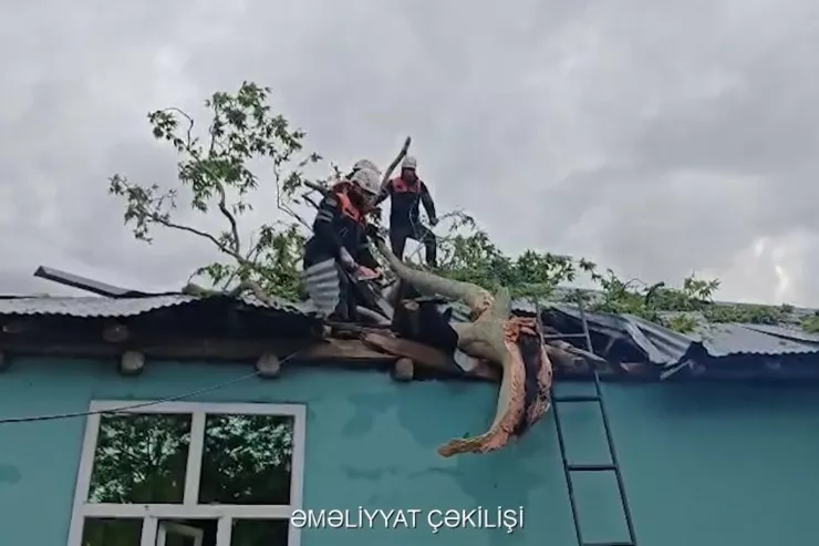 Küləyin fəsadları aradan qaldırılır - VİDEO 