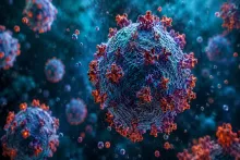 Yeni virus PEYDA OLDU:  əvvəlkilərdən daha sürətlə yayılır