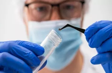 Alimlər insanlarda xəstəlik yaradan yeni gənə virusu tapdılar