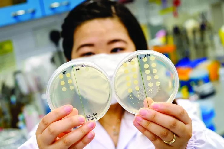 Antibiotiklərə davamlı bakteriyaların yeni zəif nöqtələri tapıldı 