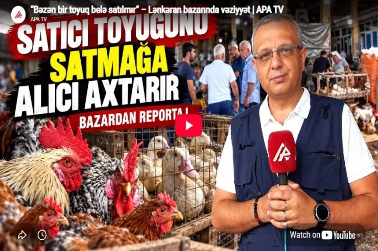 “Bəzən bir toyuq belə satılmır” – Lənkəran bazarında vəziyyət-VİDEO 