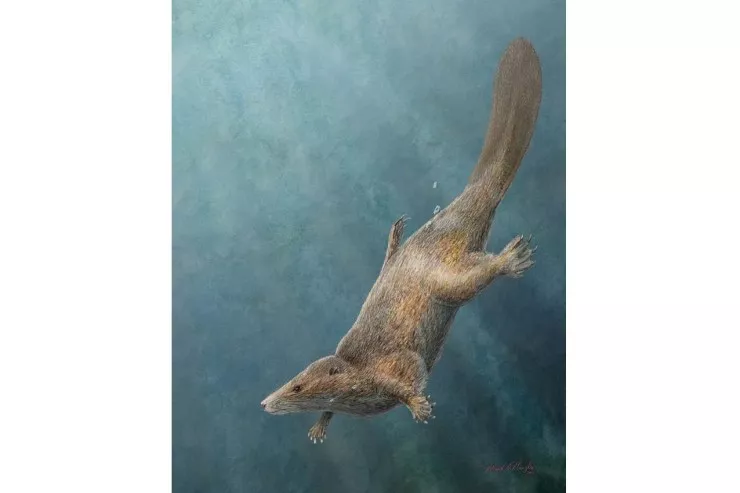 Dinozavrlar dövründə su samuruna bənzər məməli  yaşayıb