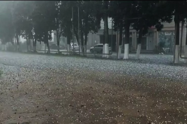 Lənkəranın kəndlərinə dolu yağdı 