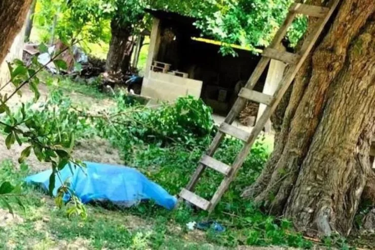 62 yaşlı kişi ağacdan yıxılıb  öldü