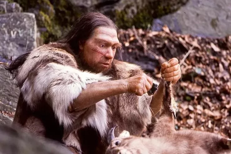 Neandertalların ağac emalı bacarığına dair yeni dəlillər tapıldı 