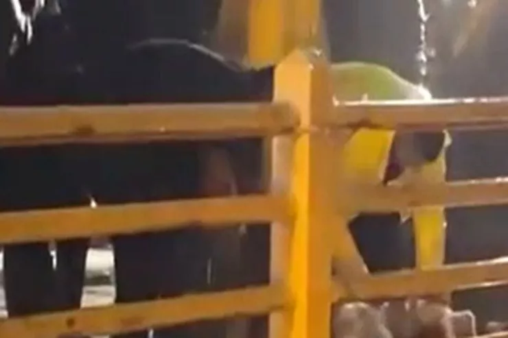 Yağış dayansın deyə, qurban kəsdilər - Türkiyədən GÖRÜNTÜLƏR  