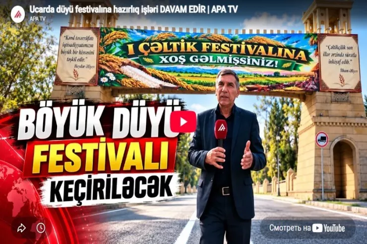 Ucarda düyü festivalına hazırlıq işləri davam edir -VİDEO 