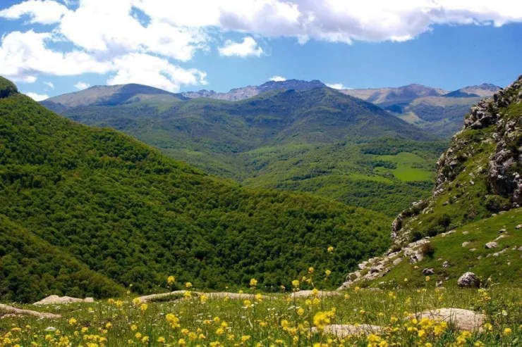 Qarabağ Milli Parkı yaradıldı