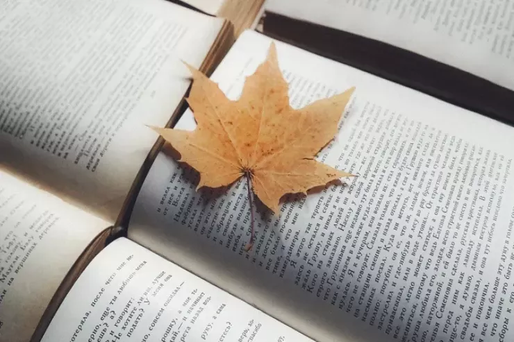 Kitab oxuyarkən  buraxdığımız səhv – Alimlər xəbərdarlıq edir 